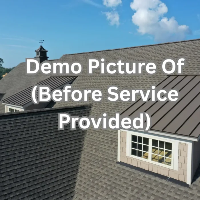 Demo Picture Of Before Work (2)
