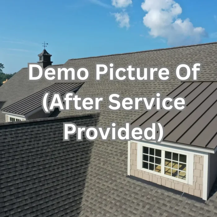 Demo Picture Of Before Work (3)